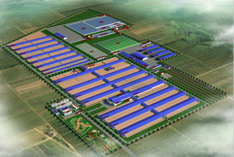 291016347854.png 1593396953(1).png